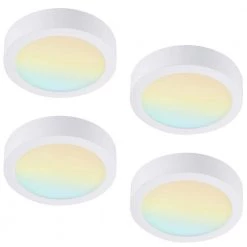 4-Pack 13 in. Round Color White Selectable Integrated LED Flush Mount Downlight by RUN BISON