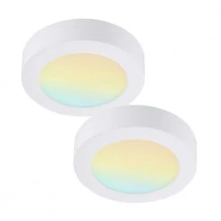 2-Pack 7 in. Round Color Selectable Integrated LED Flush Mount Downlight in White by RUN BISON