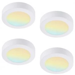 4-Pack 7 in. Round Color Selectable Integrated LED Flush Mount Downlight in White by RUN BISON