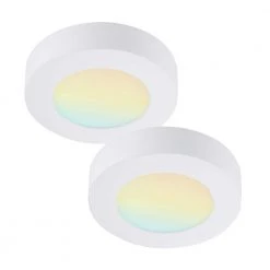 2-Pack 5.5 in. Round Color White Selectable Integrated LED Flush Mount Downlight by RUN BISON